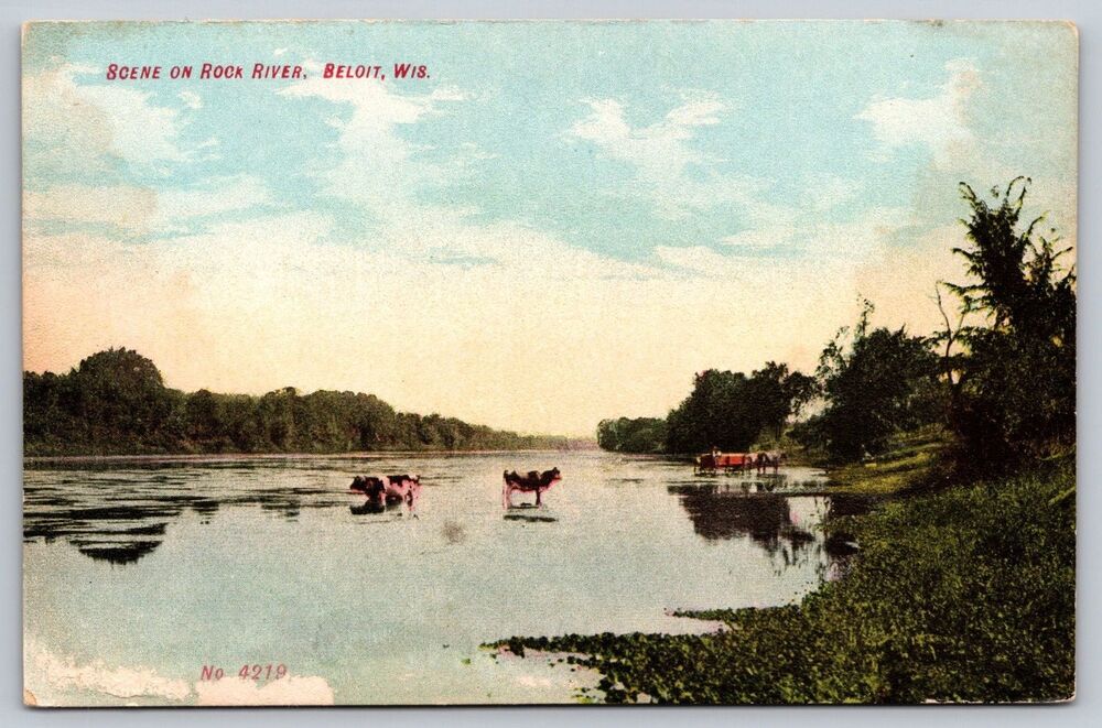 Antique Postcard Beloit WI Rock River Scenic Views Cows in Water 1907-1915 4219